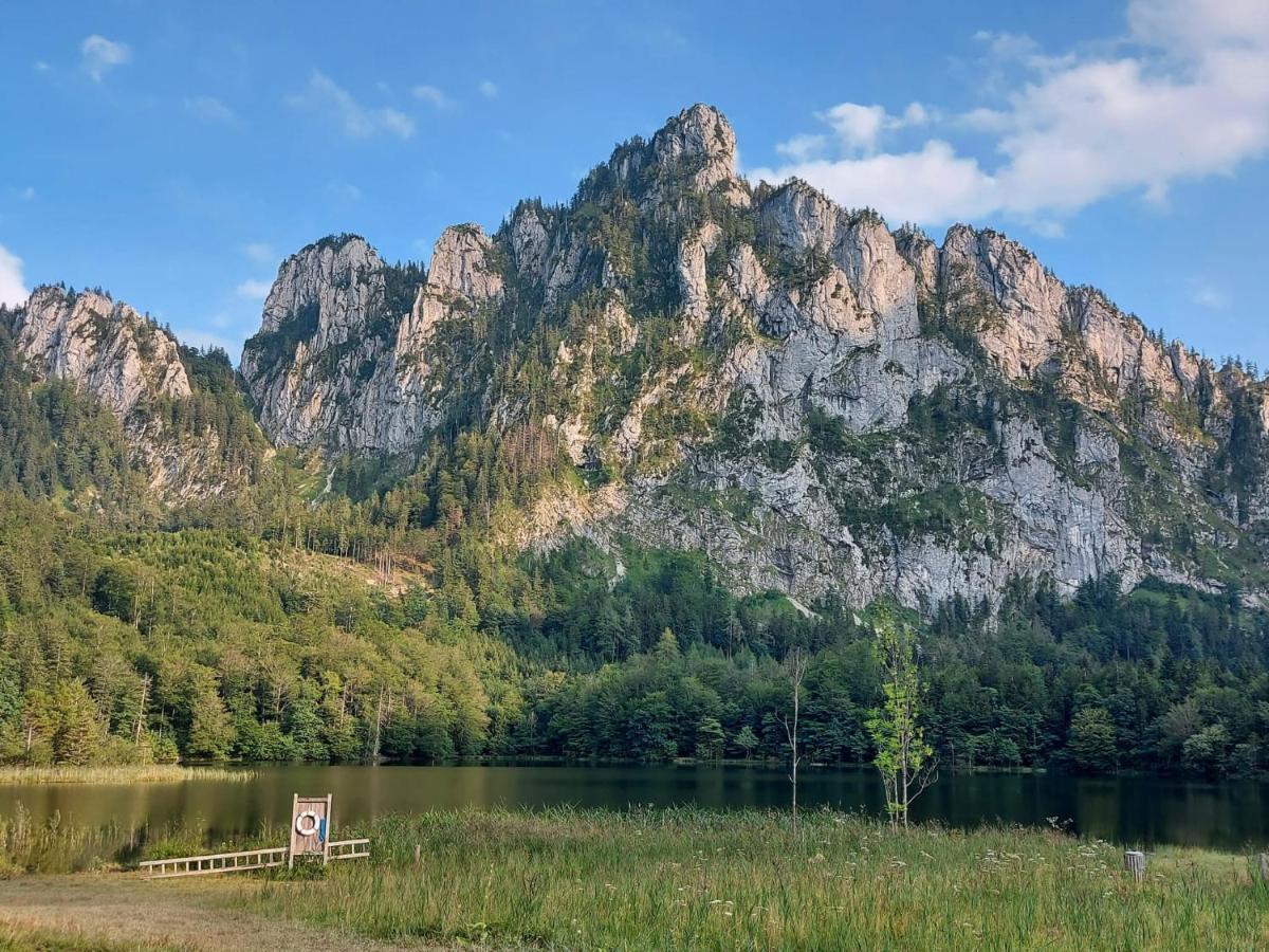 Neues Traunsee Apartment Altmünster Dış mekan fotoğraf