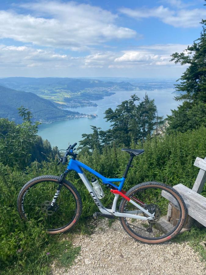 Neues Traunsee Apartment Altmünster Dış mekan fotoğraf